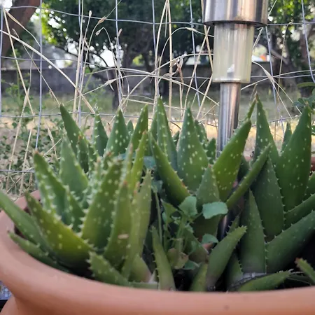 Дом отдыха Garden N3