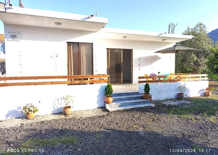 Garden N3 Holiday home *