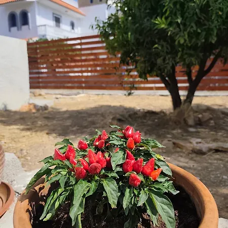 Holiday home Garden N3